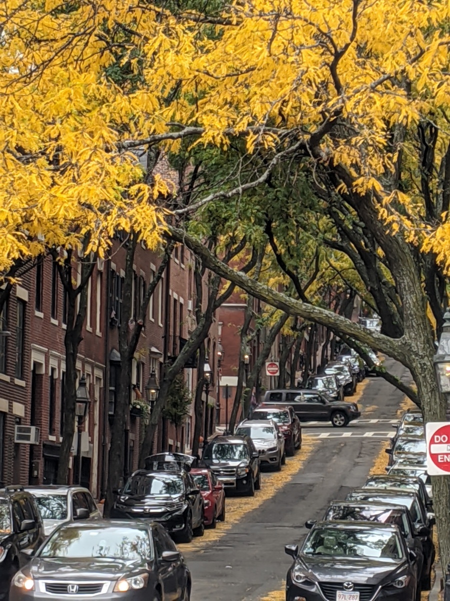 What It's Like to Live In BEACON HILL (Boston Neighborhoods